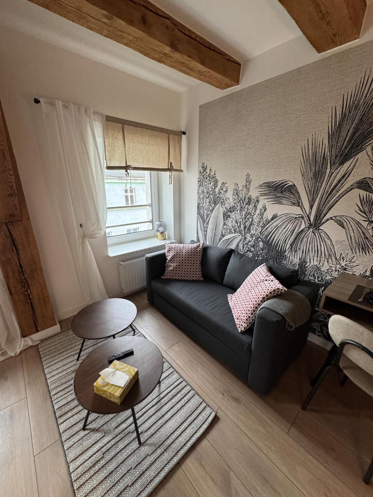 Centro 9 Apartment Leszno (Greater Poland)